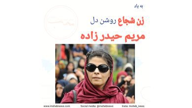 زن شجاع روشن دل، مریم حیدرزاده | محب نیوز