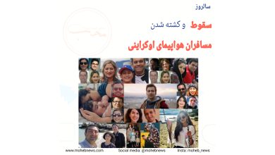 سالروز سقوط و کشته شدن مسافران هواپیمای اوکراینی | محب نیوز