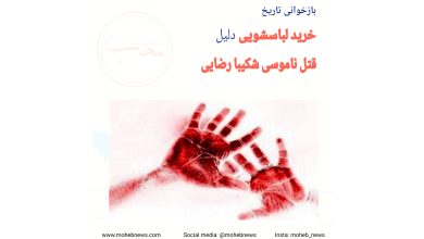 شکیبا رضایی، زنی که به علت خرید لباسشویی کشته شد | محب نیوز